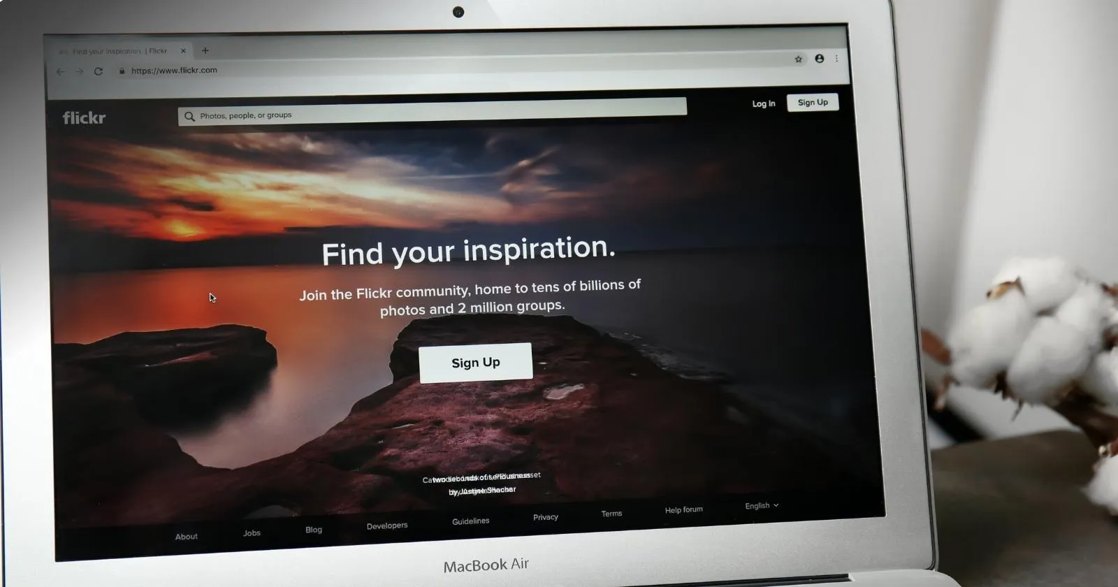 Create Website for Small Business
