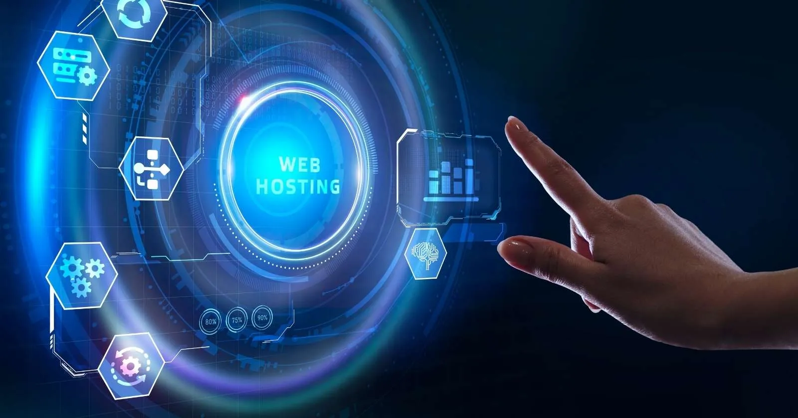 Hosting Website