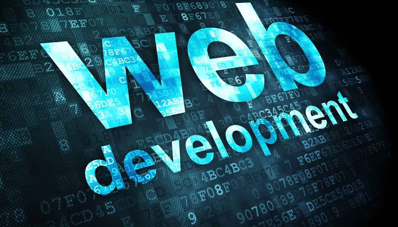 Professional Web Development Services
