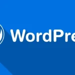 WordPress Theme